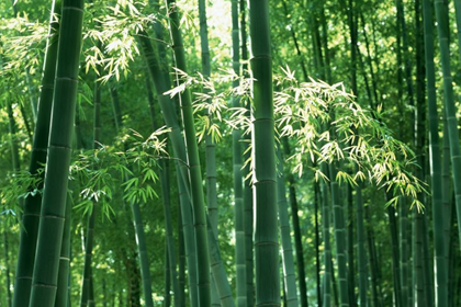 风水