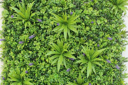 平地木命人家里摆放什么风水物好