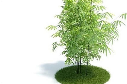 风水学