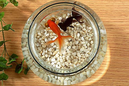 风水学
