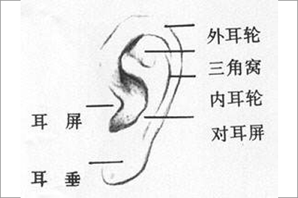 相术