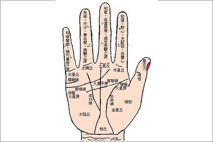 右掌有井字纹的女人是怎么样的