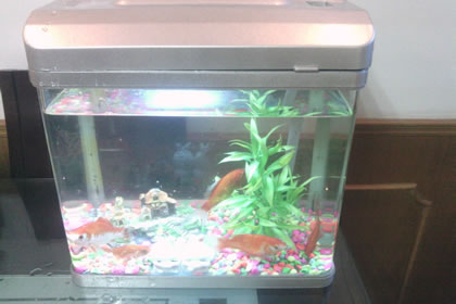 风水学