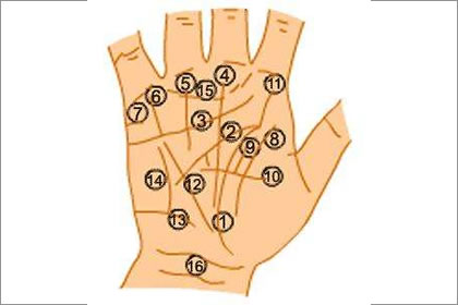 手掌智慧线上的井字纹具体代表着什么