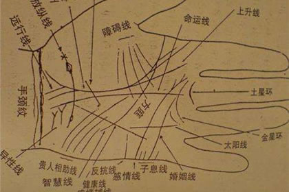 井字纹