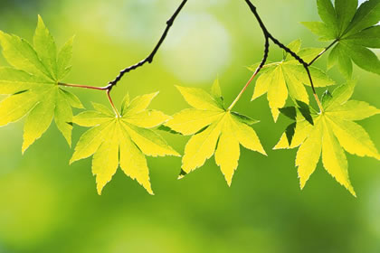 风水学