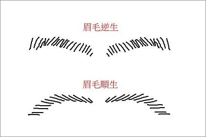 相术