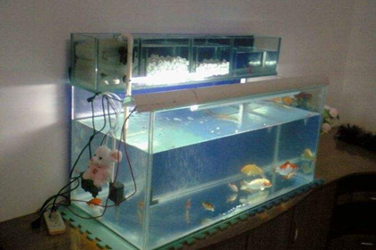 风水