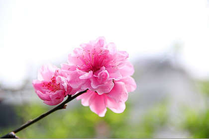 风水