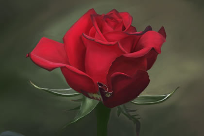 桃花位