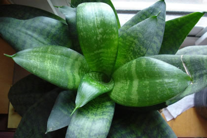 风水学