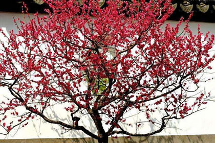 风水学