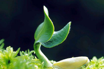 风水学