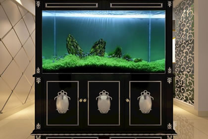 风水学