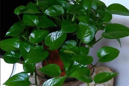 风水学