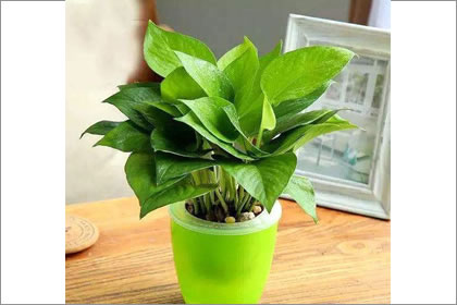 风水学