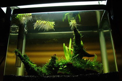 风水