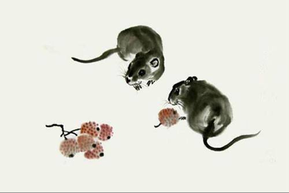 生肖