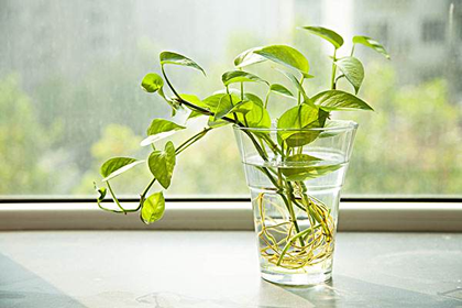 风水