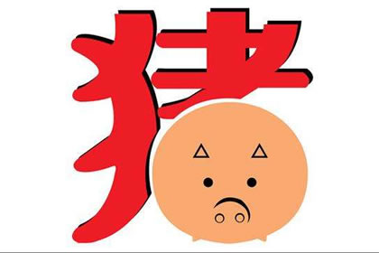 生肖知 识 