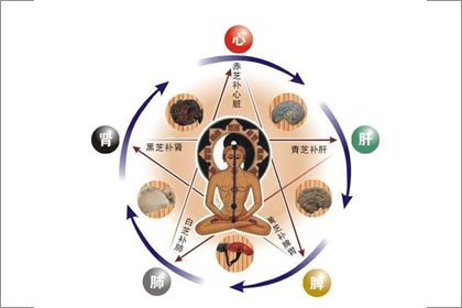 五 行 八 字