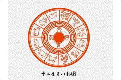 生肖五行