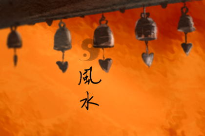 风水31