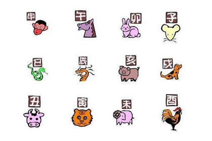 生 肖 五 行 