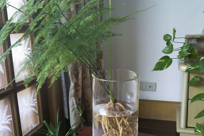 风水