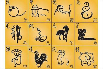 生 肖分析 