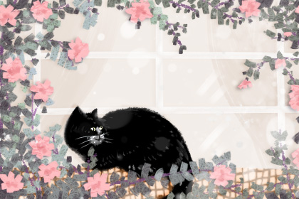 猫1