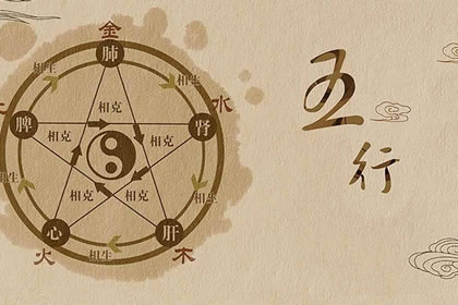 五行属性查询杨柳木命和什么命相克 八字网