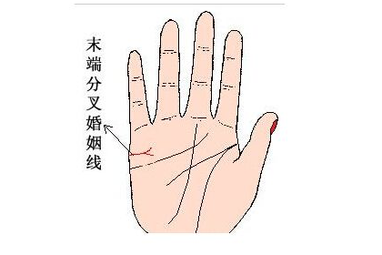 相术