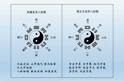 八卦