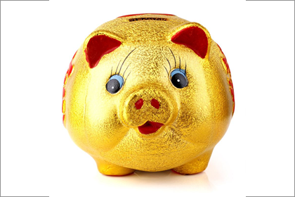 金猪