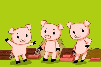 2019是什么年道院之猪的人出生是什么命运 八字网