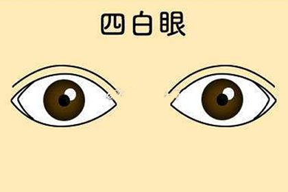 四白眼的人果真会一事无成吗