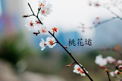 今日喜神方位查询