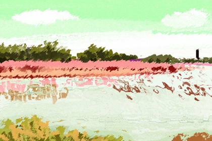 哪条是生命线 生命线怎么看 八字网