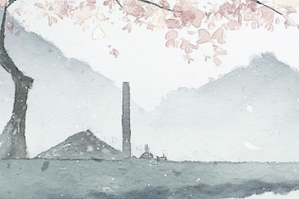 悬胆鼻