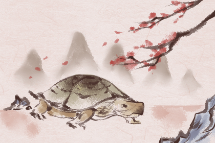 偏财格