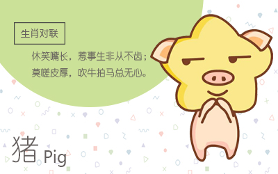 属猪今年多大