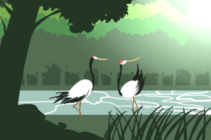 水瓶座的情劫年情劫怎么化解 八字网