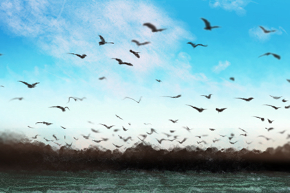 水瓶座的情劫年情劫怎么化解 八字网