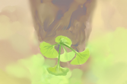 玄关风水
