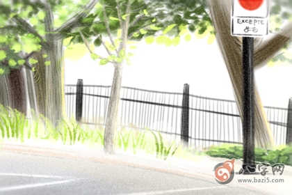 断掌纹