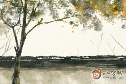 八字缺火缺土