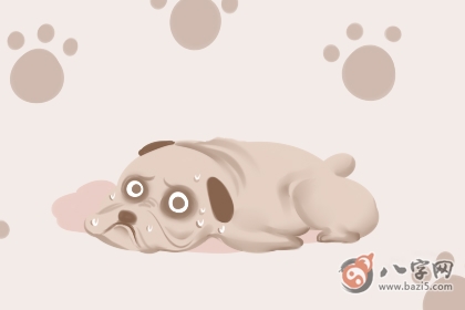 resize,m_fill,w_360,h_240