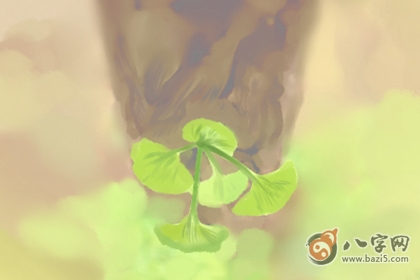 面相分析
