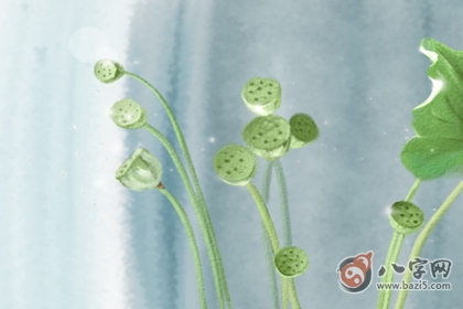  风水学